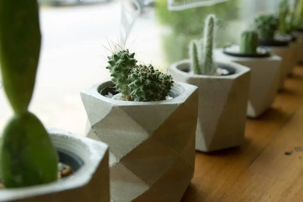 Dlaczego warto postawić na doniczki z betonu architektonicznego?